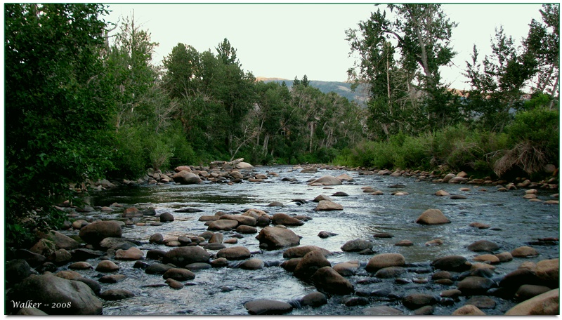 The Truckee River -- west of Reno, NV