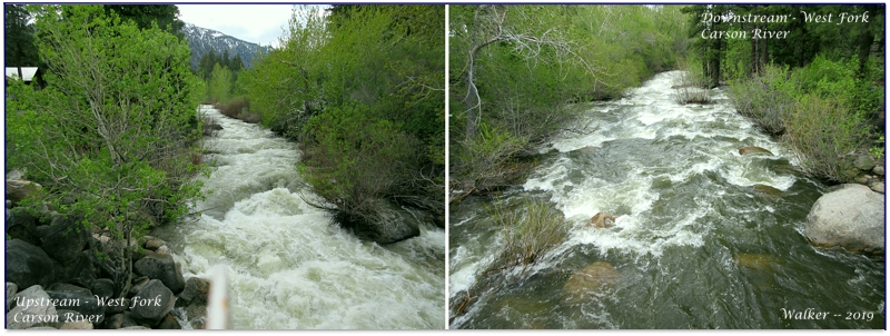 The upper Carson River, CA